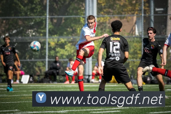 巅峰国际APP 封面图